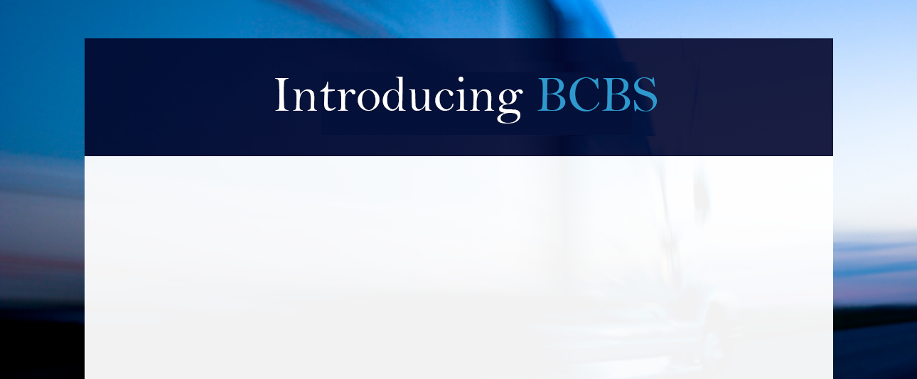 bcbs introduction